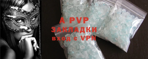 ПСИЛОЦИБИНОВЫЕ ГРИБЫ Осинники