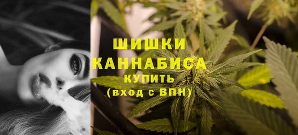 прущая мука Осташков