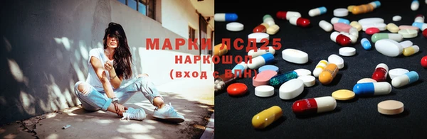 ПСИЛОЦИБИНОВЫЕ ГРИБЫ Осинники
