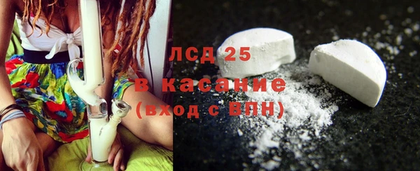 ПСИЛОЦИБИНОВЫЕ ГРИБЫ Осинники