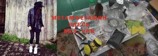 ГАЛЛЮЦИНОГЕННЫЕ ГРИБЫ Весьегонск