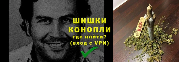 ПСИЛОЦИБИНОВЫЕ ГРИБЫ Осинники