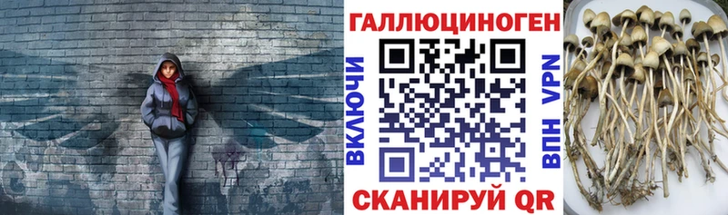 гидра сайт  где продают наркотики  Пошехонье  Галлюциногенные грибы мицелий 